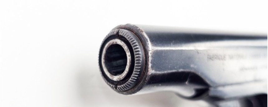 Muzzle and crown